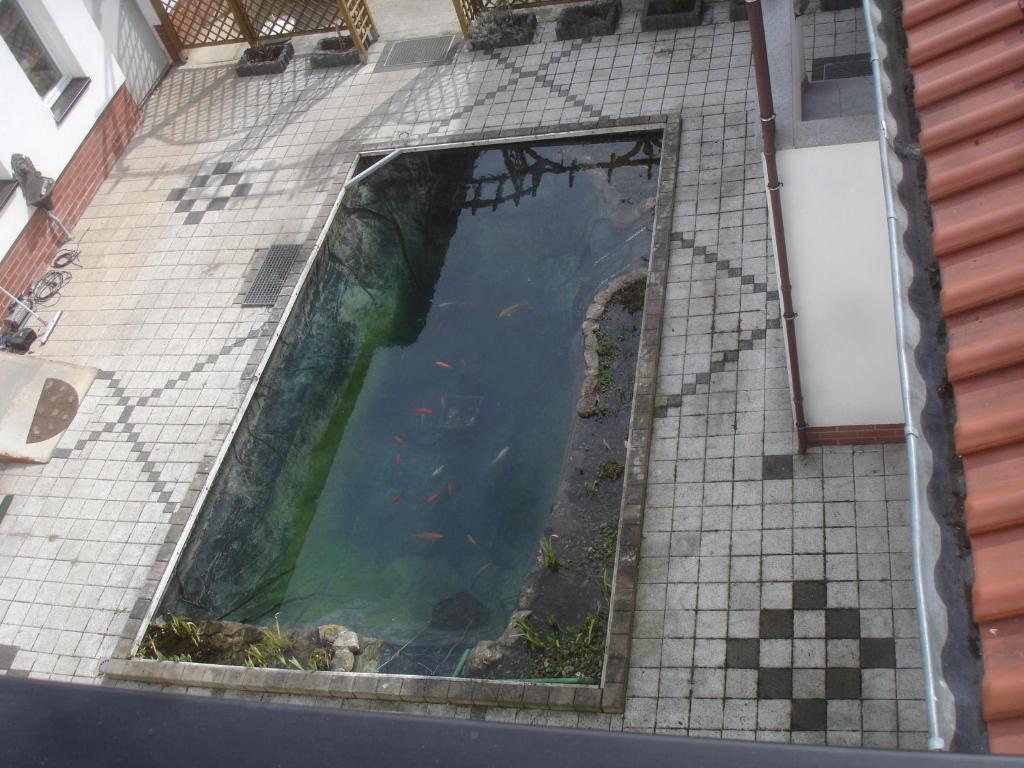 Harzer Ferienpension Timmenrode エクステリア 写真